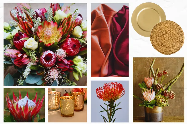 The O Company colour palette mood board